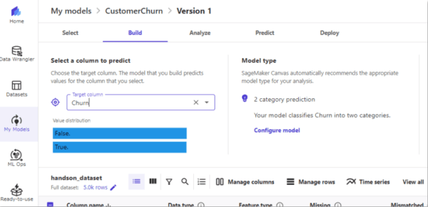 SageMaker Canvas Model type