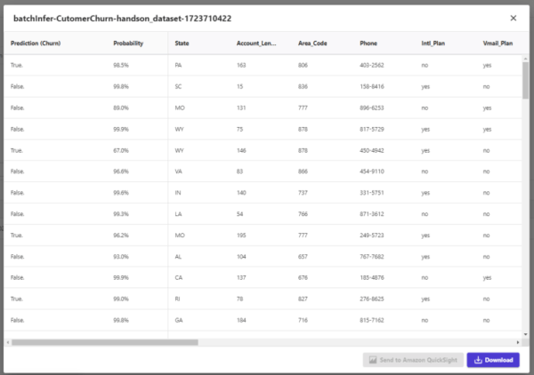 SageMaker Canvas Predict result preview