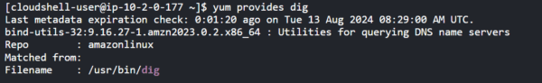 provides_dig